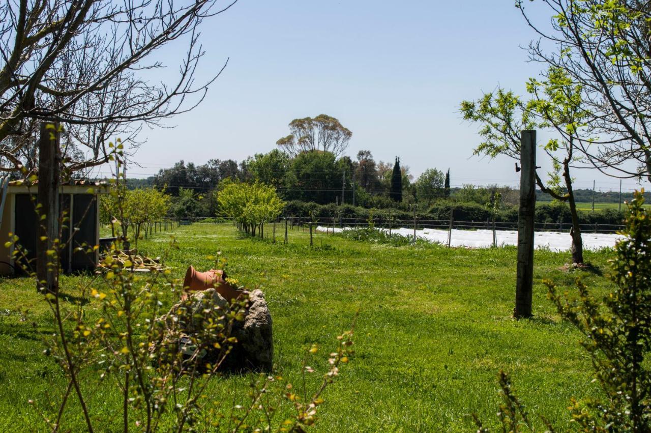 Villa Enli Capalbio Kültér fotó